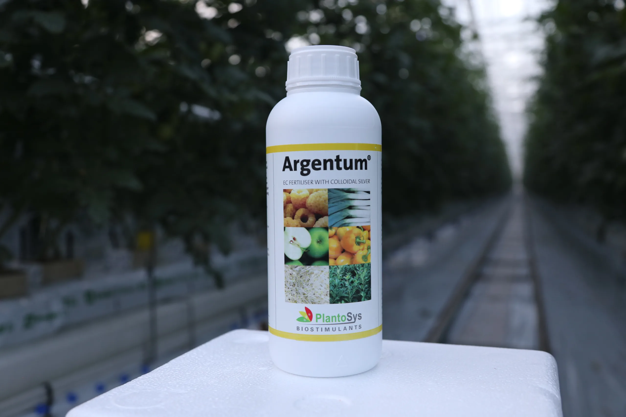 Argentum 1
