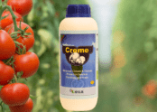 Creme