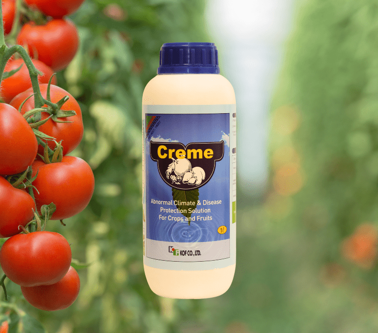 Creme