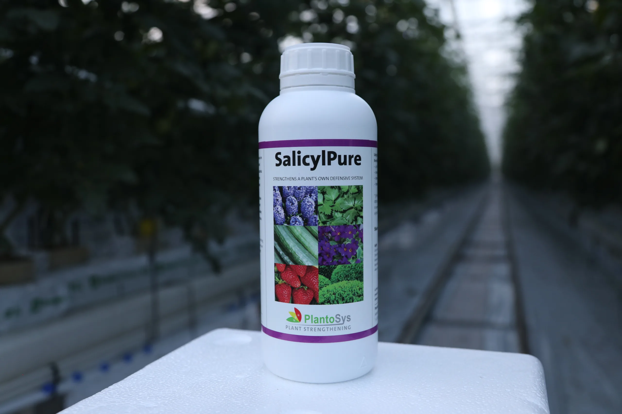 SALICYL PURE 1