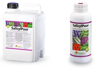 SALICYL PURE 3