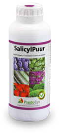 SALICYL PURE 2