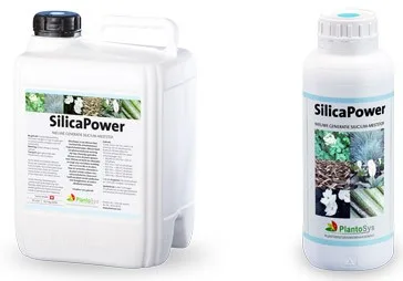 SilicaPower 2