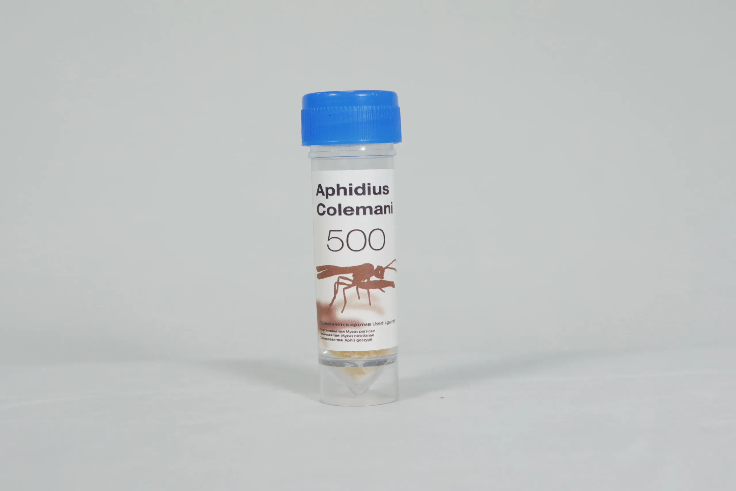 Aphidius colemani 4