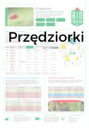 przędyiorki plakat