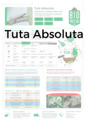 Tuta absoluta plakat