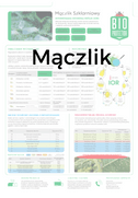 mączlik zwalcyanie plakat